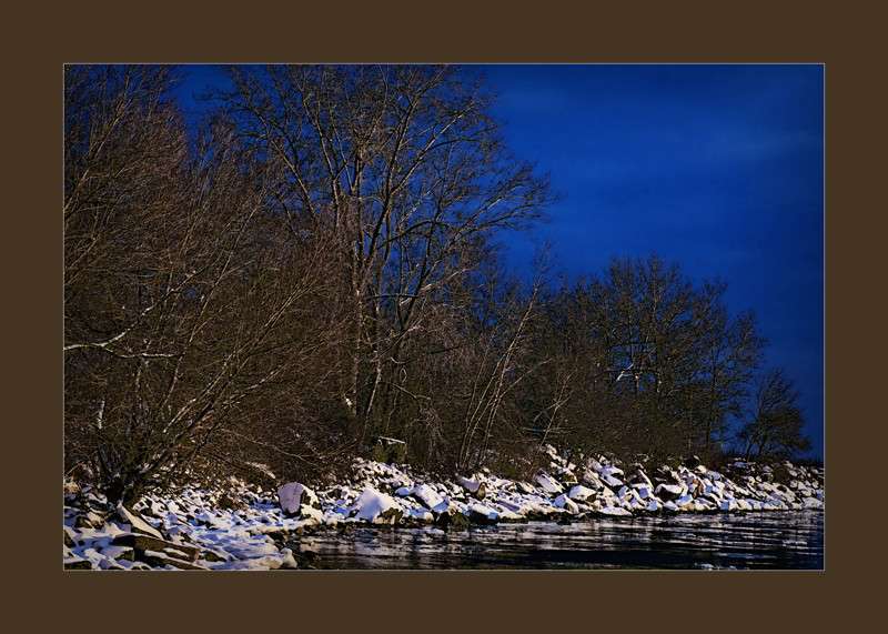 Autumn evening by Ashbridge bay- 01